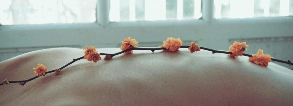 flowers on the back picture