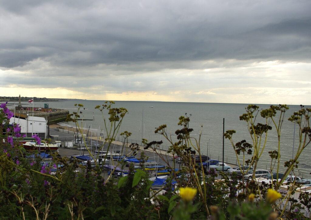 bay with spring flowers and sea