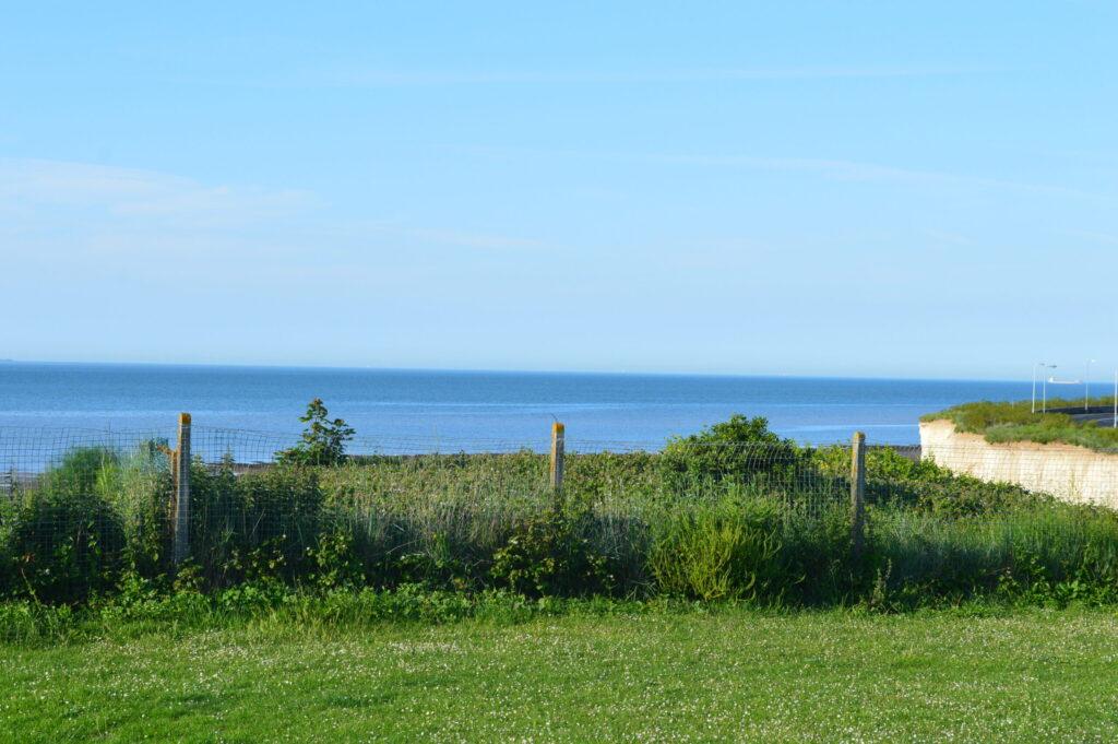 Green coast overlooking the sea